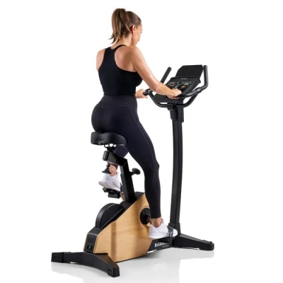 Rower elektromagnetyczny HAMMER MAXIMUM SPHERIS 4.0 NorsK